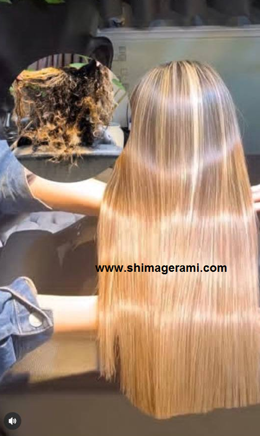 بهترین سالن کراتین شیراز 3