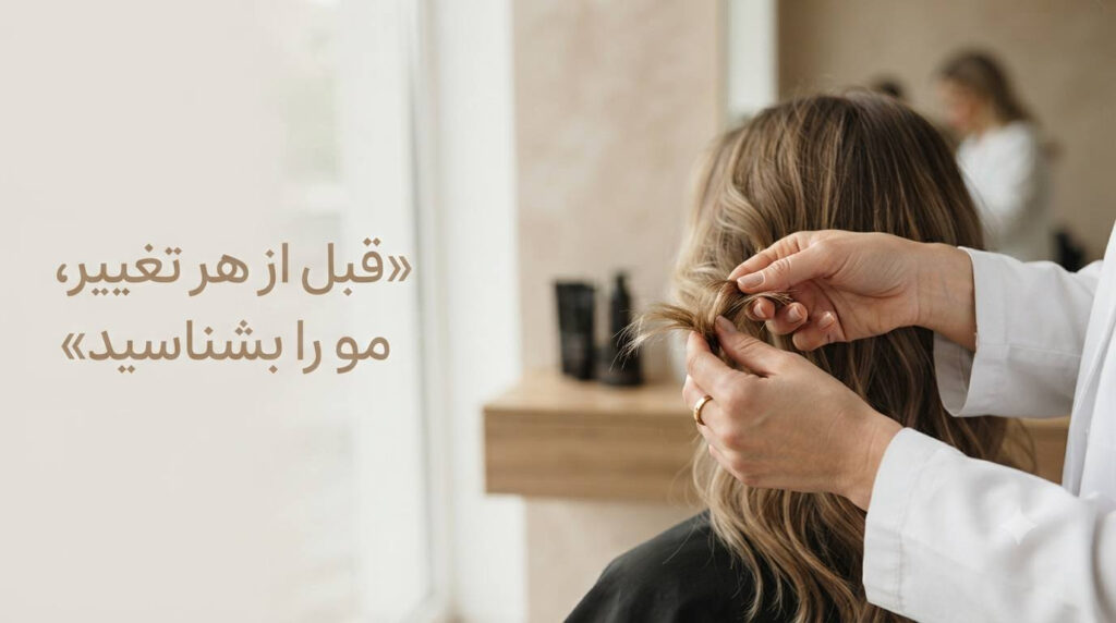 آکادمی آموزش رنگ و لایت در شیراز